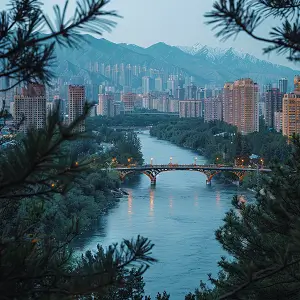 介绍韩国搬家公司